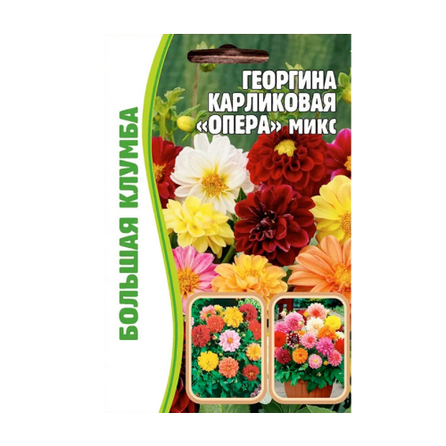 ���������� �������� ����� ���� ���������� 20 ����� ������ ������ ( 2 �������� � ������)