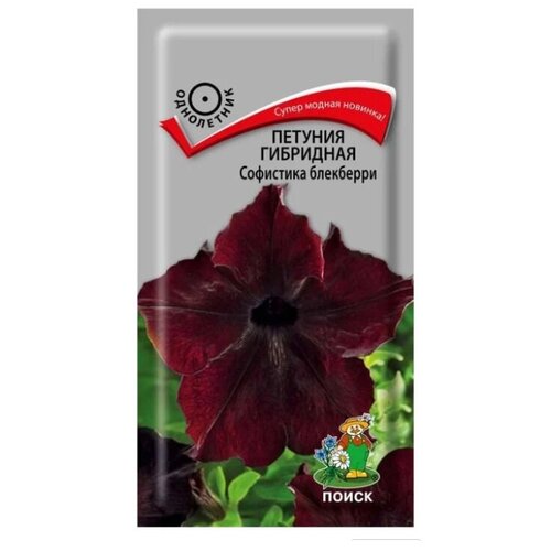 ���������� ������ ����� ������� ��������� ��������� ��������� 5 ��.