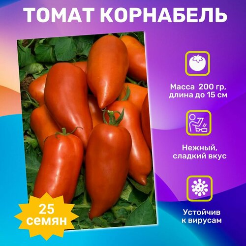 ���������� ������ ������ ��������� F1 25��. ���������� ��������