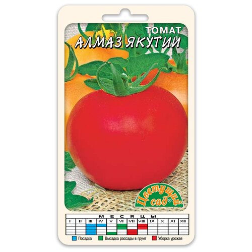 ���������� ������ �������� ��� 