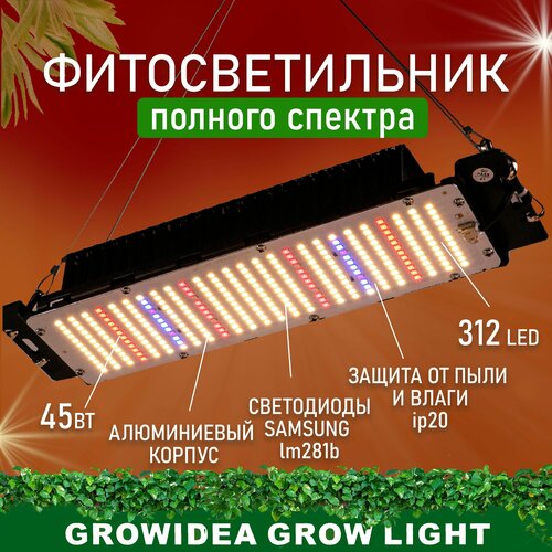      Led          , -, 