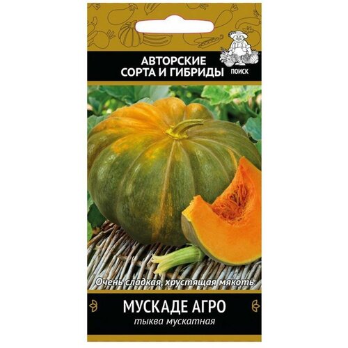 ���������� ������ ����� ������� ���� 10�� (� �����) ���������