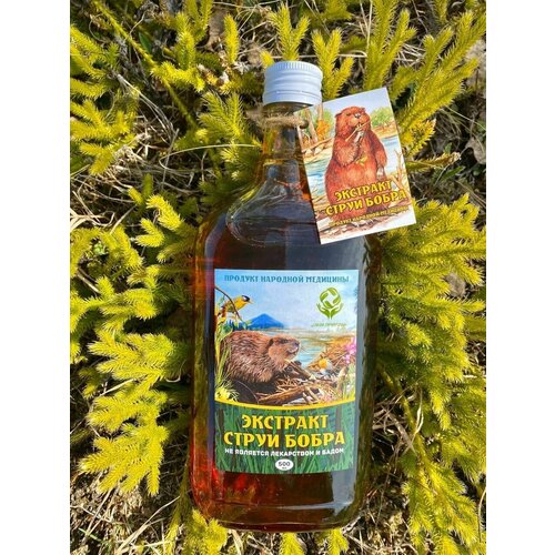 ���������� �������� ����� �����, �������� 500 ��.