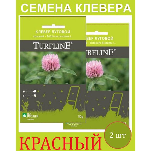        Trifolium Protense L TURFLINE DLF 0.1  (0,05 . - 2 )   , -, 