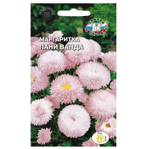 ���������� ������ ����� ���������� ���� �����