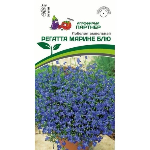 ���������� ������ ������� ��������� 