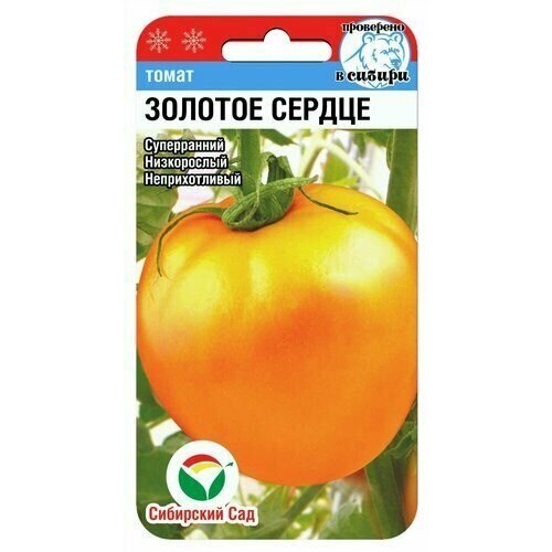 ���������� ������ ����� ������� ������ 20�� ��� ������ (��������� ���)