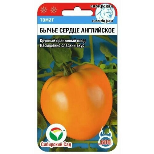 ���������� ����� ����� ������ ���������� / 20����� � 1 ��������/��� ���