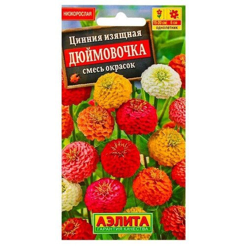 ���������� ������ ������ ������ 