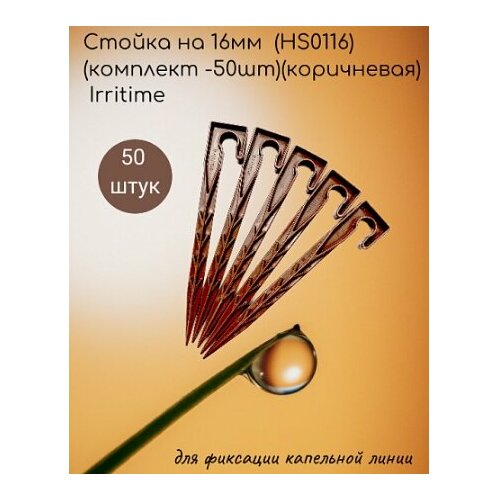   16 (HS0116)( -50)() Irritime   , -, 