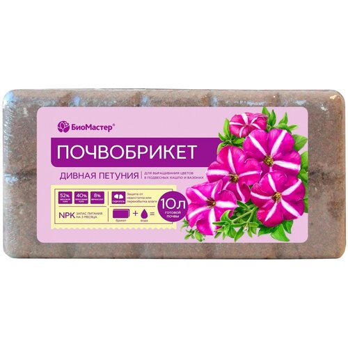 ���������� ����������� ��������� ������ ������� � ���������� ������������, 10 �, 0.67 ��