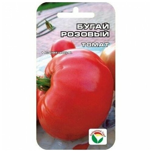 ���������� ������ ����� 