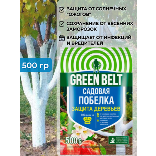   Green Belt ( ) 500          , -, 