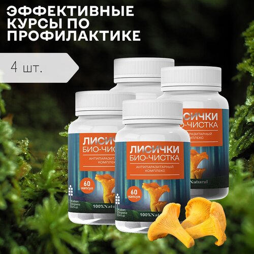 ���������� �������� �� ��������� ������� ���-������� ���������, 4 ��, 240 ������