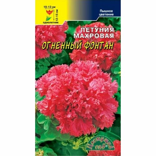 ���������� ������ ������� �������� ������, ��������, ����������, (�������� ���) 10��