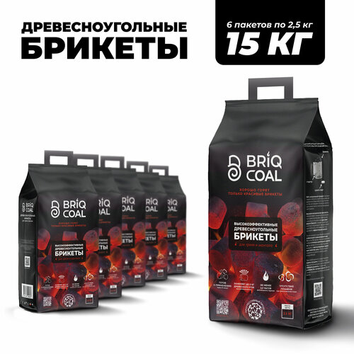 ���������� 6 �������� BriqPACK �� 2.5 �� - ����������������� ���������������� ������� BRIQCOAL