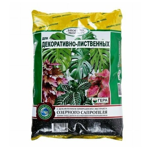 ���������� ����� ��� �����������-���������� �������� 5 �