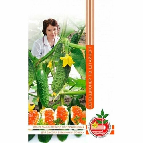 ���������� ������ ������ ���� ��������� ����. (�����������) F1 10�� (�) ��������