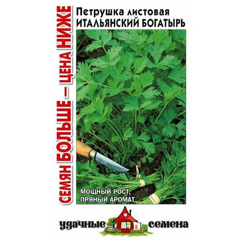 ���������� ������. �������� 