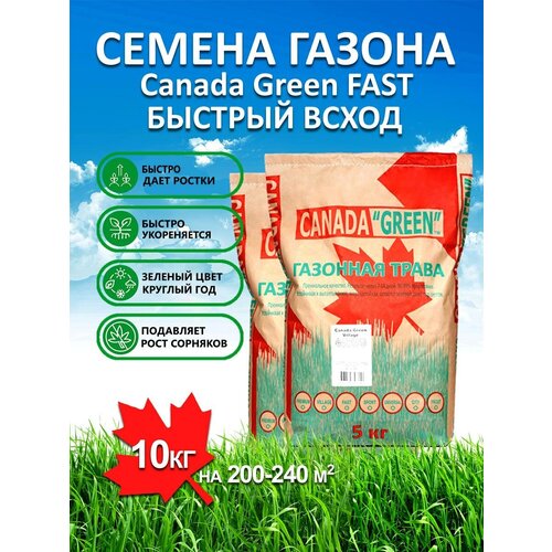 ���������� �������� ����� ������ ������ ���� �������������� FAST 10 ��/ ������, �������, �������� ������ ��� ������