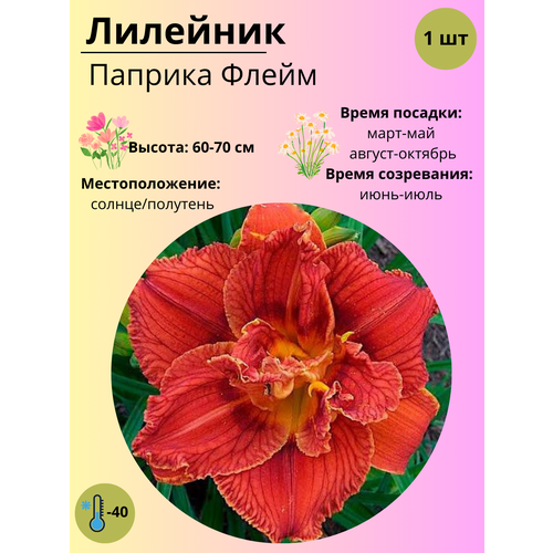 ���������� �������� ������� �����, ����������� ����� / ������ 1 ��