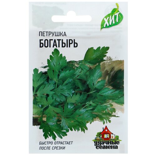 ���������� ������ �������� ������������� 