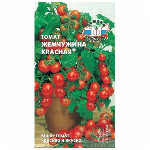 ���������� ����� ��������� �������, 0,1 �