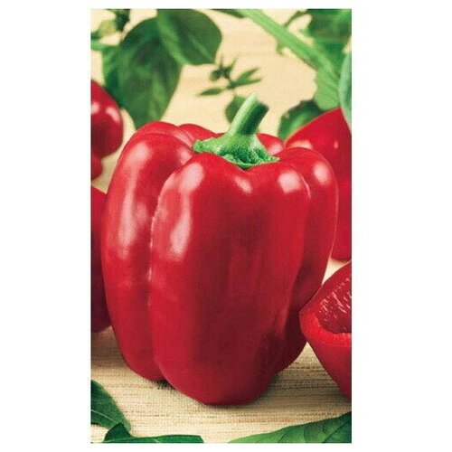 ���������� ������ ����� ������� ������ ������� F1 (��) �/�