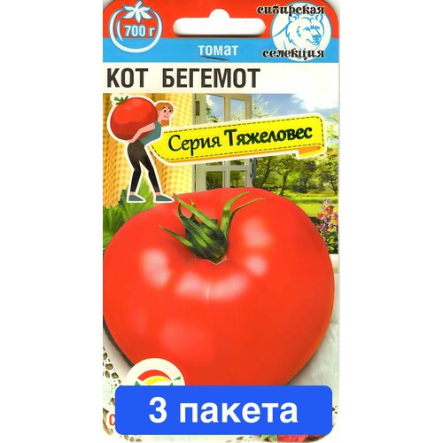 ���������� ������ ������ ��������� ��� 