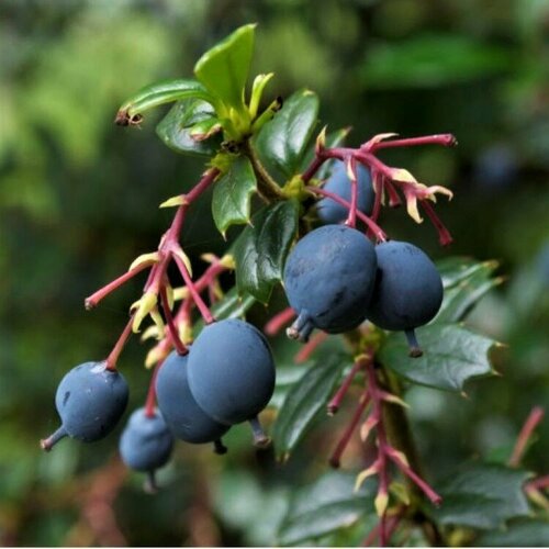 ���������� ������ ������ �������� ������ 20 ��.