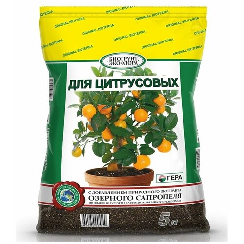 ���������� �������� ���� ��� ����������, 5 �