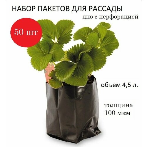 ���������� ����� ��� ������� 4,5�, ������� 100���, ������, 50��.