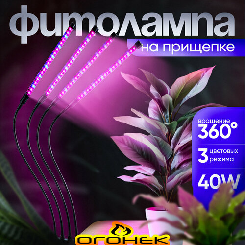 ���������� ���� ����� ��� �������� � �������� �� �������� ������ OG-LDP08