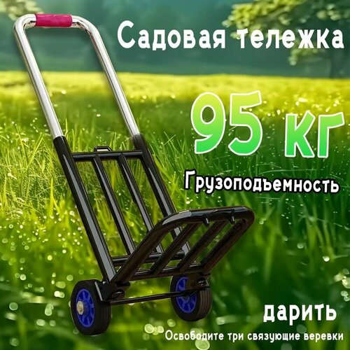 ���������� ������� �������, �������������, ��������, ���������������� 95 ��