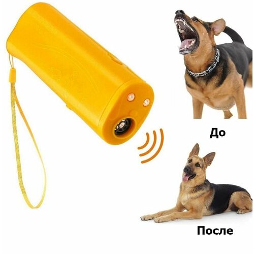 ���������� �������������� ������������ ����� 3�1 Training dog