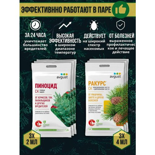 ���������� �������� �� �������� � ���������� ������� �������� ������ 4 �� + ������� 2 ��, ����� 6 ��