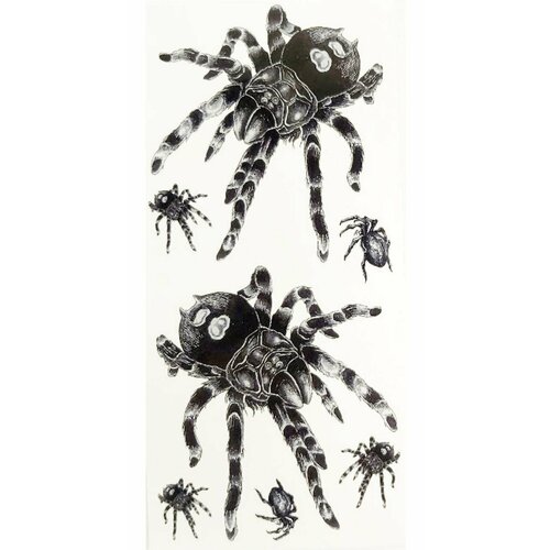 ���������� ����� ��������� ���������� ������ ����� (�����) �����������, 7��. � ������, ���� 19�9��.