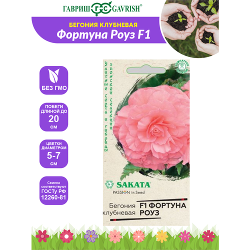 ���������� ������ ������ ��������� ������� ��������� ������� ���� F1, �������, ��������, 4 ��.