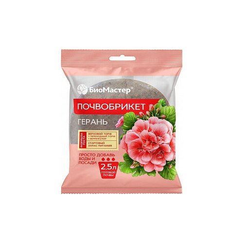 ���������� ����������� 