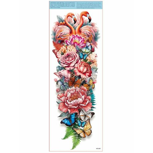 ���������� ���������� ��������� ���� ����� �� �������� / 45 � 17 �� ����