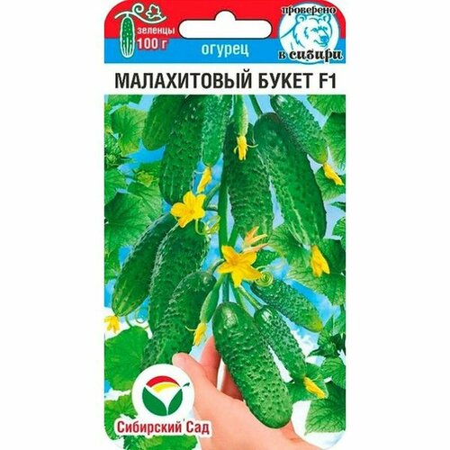 ���������� ������ ������ ����������� ����� F1 ����. (�����������) (��������� ���) 5��