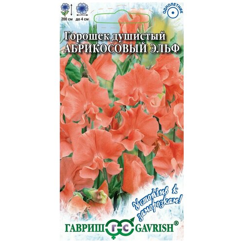 ���������� ������. �������� ������� 