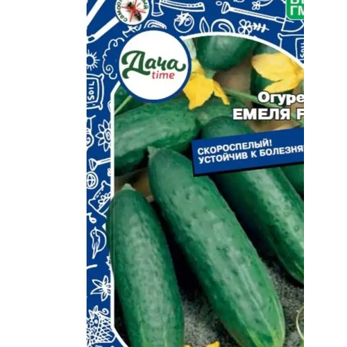 ���������� ������ ������ ����� F1 10�� ������������������ (����time)