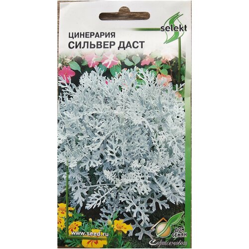 ���������� ��������� ������� ����, 15 �����