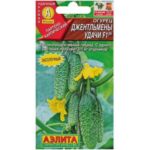 ���������� ������ ������������ ����� F1 10�� ������