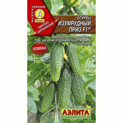 ���������� ������ ������ ���������� ���� F1 ����, ������������, (������) 10��