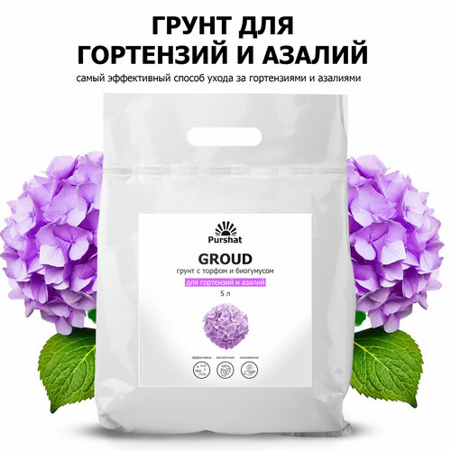 ���������� ����� ��� ���������, ��� �������������, ��� ������ ������ 5 �