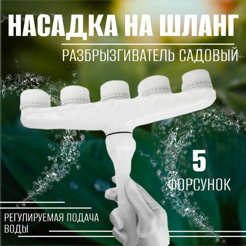 ���������� ������� �� ����� ��� ������ 5 ����, ��������������� �������