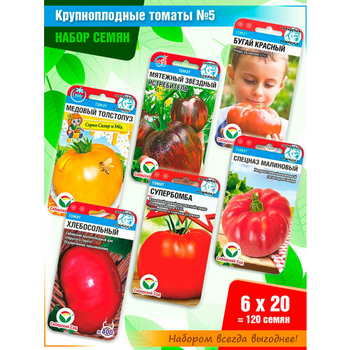 ���������� ����� ����� ������� 