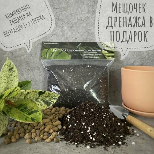 ���������� ������� ����� � ���������� ��� ��������� �������� �������� Terracotta Plants, 2,5 �����